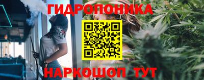 спиды Пугачёв