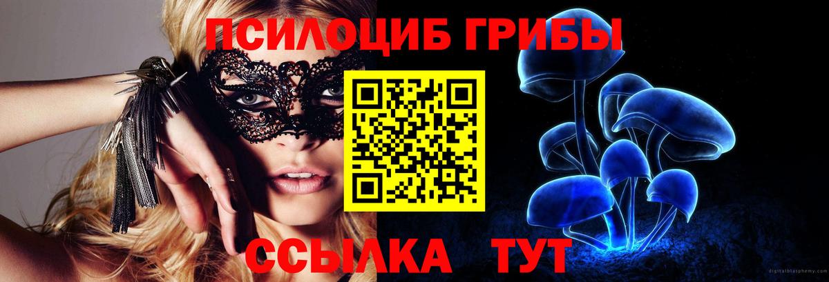 Псилоцибиновые грибы Psilocybe Арсеньев